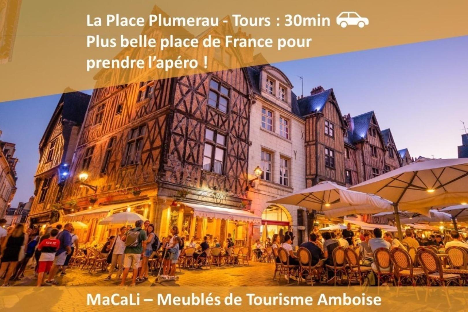 アンボワーズTerrasse Sur La Tour Garconnetアパートメント エクステリア 写真