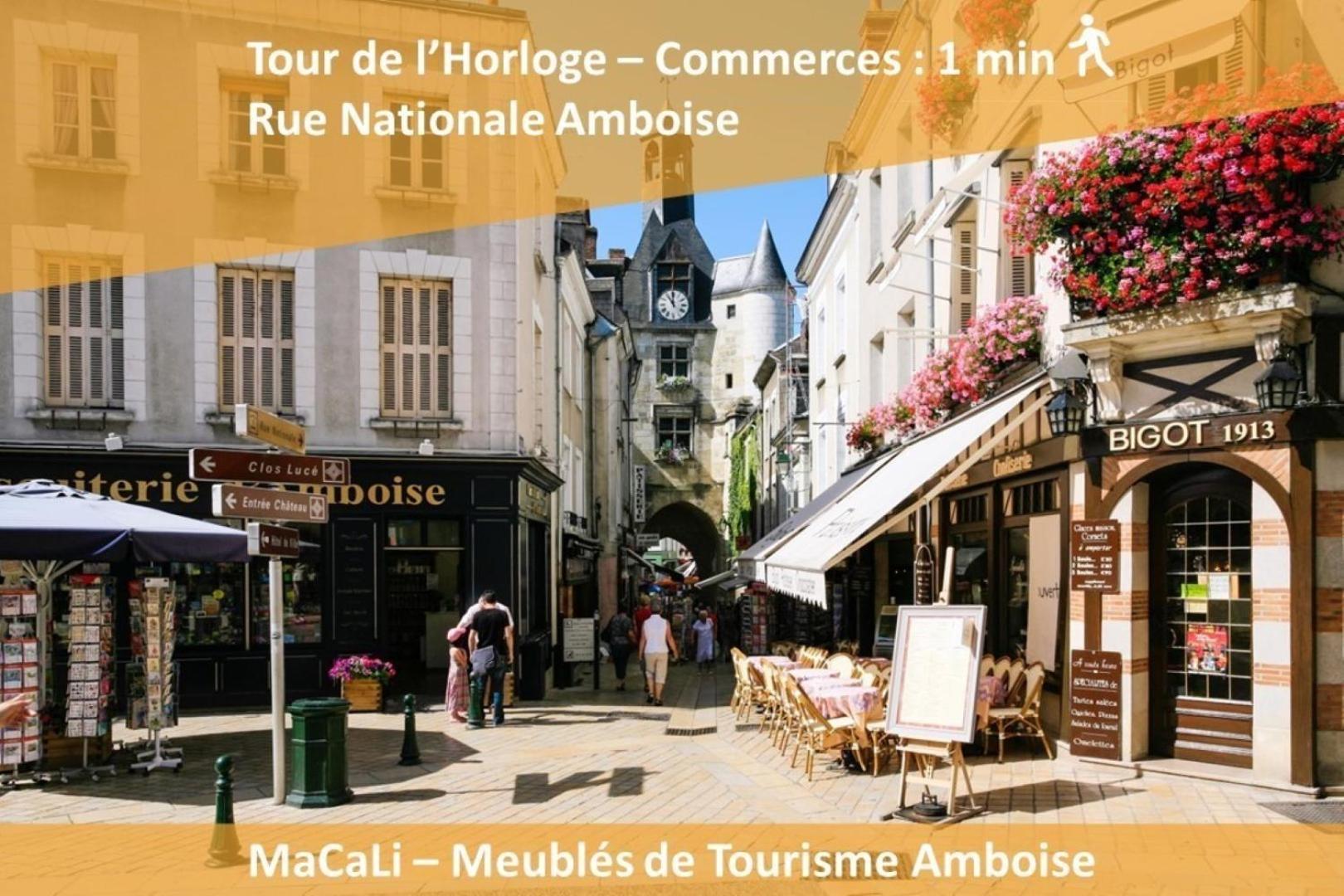 アンボワーズTerrasse Sur La Tour Garconnetアパートメント エクステリア 写真